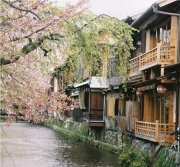 Canal side restaurants, Shinbash