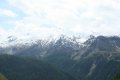 IMG_2594